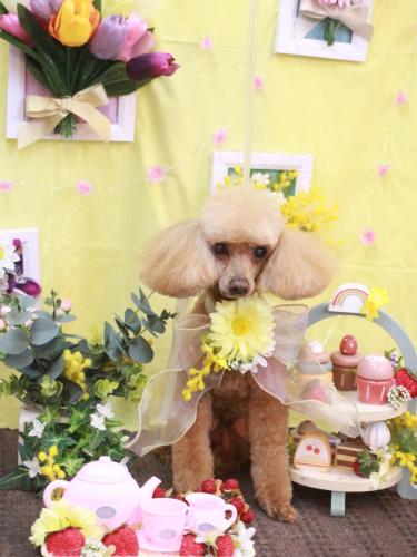 20230324リールちゃん